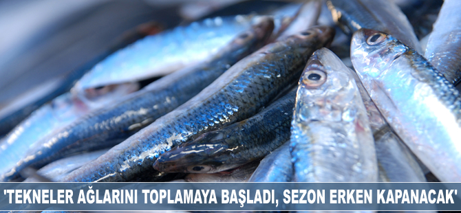 Hamdi Arslan: Hamsi soğuk sulara göç ediyor