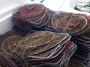 Eğirdir Gölü'nde kaçak avcılığa geçit verilmiyor