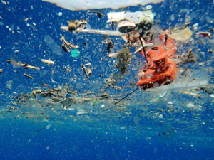 'A Plastic Ocean' İstanbul Üniversitesi’nde gösterilecek