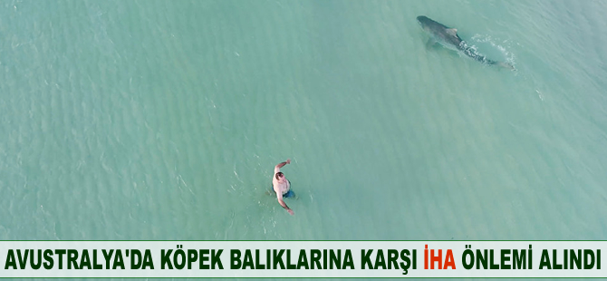 Avustralya'da köpek balıklarına karşı İHA önlemi alındı