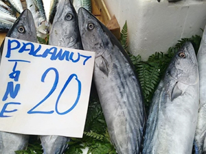 Edirne'de palamutun tanesi 20 liraya kadar yükseldi