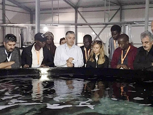 Botsvana ve Gambiyalı uzmanlara balıkçılık eğitimi verildi