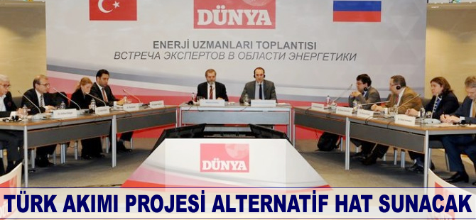 Türk Akımı Projesi, Rusya'ya alternatif hat sunacak