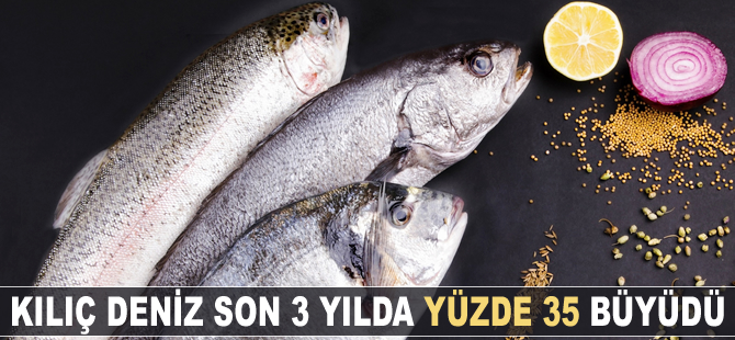 Kılıç Deniz, son 3 yılda yüzde 35 büyüdü