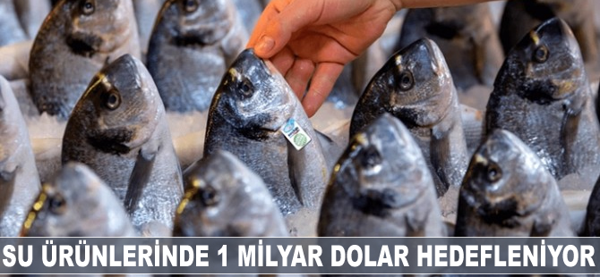 Su ürünlerinde 1 milyar dolar hedefleniyor