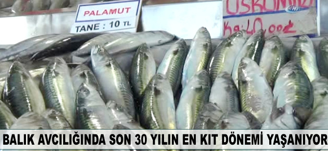 Balık avcılığında son 30 yılın en kıt dönemi yaşanıyor
