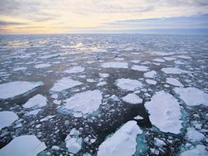 Kuzey Kutbu'nda kara parçaları erimeye devam ediyor