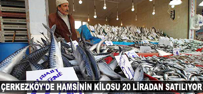 Hamsinin kilosu 20 liradan satılıyor