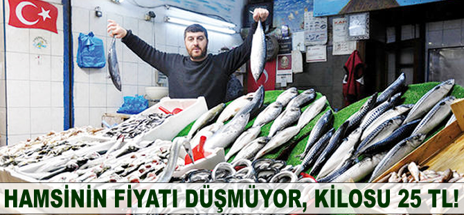 Hamsinin fiyatı düşmüyor, kilosu 25 lira