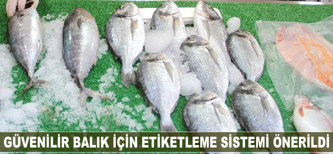 Balık için etiketleme sistemi önerildi