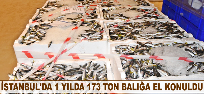 İstanbul'da bir yılda 173 ton balığa el konuldu