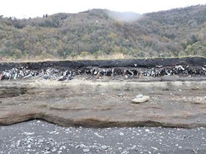 Zonguldak Alacaağzı 'plastik atıklarla' kaplandı