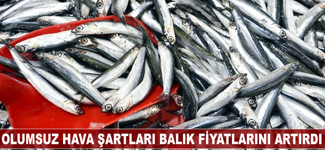 Olumsuz hava şartları balık fiyatlarında artışa yol açtı