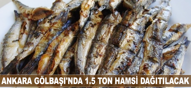 Ankara Gölbaşı’nda 1.5 ton hamsi dağıtılacak
