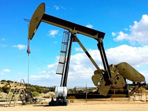 TPAO, dört yeni petrol arama ruhsatı için başvuruda bulundu