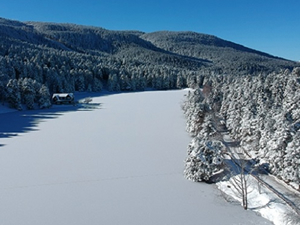 Gölcük Tabiat Parkı'ndaki göl buz tuttu