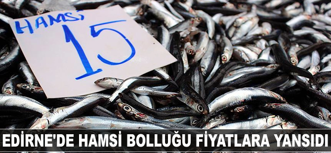 Edirne'de hamsinin kilosu15 liraya düştü