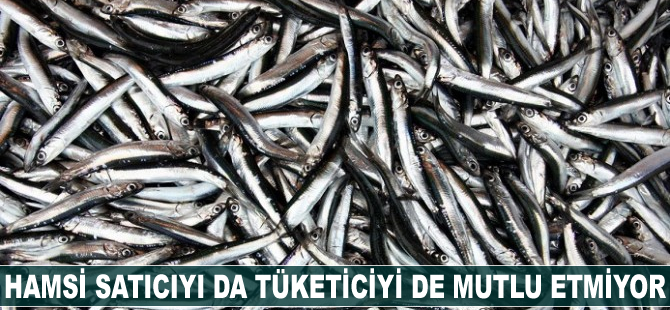 Hamsi satıcıyı da tüketiciyi de mutlu etmiyor
