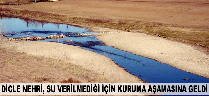 Dicle Nehri kuruma aşamasına geldi