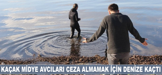 Kaçak midye avcıları ceza almamak için denize kaçtı