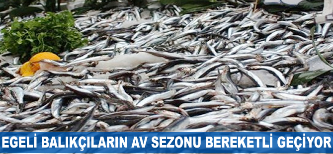 Egeli balıkçıların av sezonu bereketli geçiyor