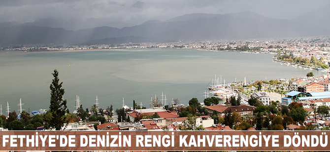 Fethiye'de denizin rengi kahverengiye döndü