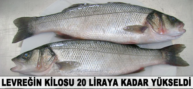 Levreğin kilosu 20 liraya kadar yükseldi