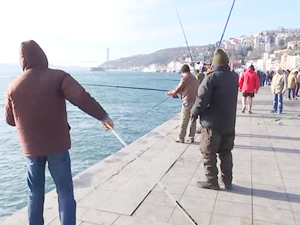 İstanbul Boğazı'nda istavrit bolluğu amatör balıkçıları sevindirdi