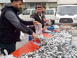 Alabalık ve Palamut'un kilosu 12 liradan satılıyor