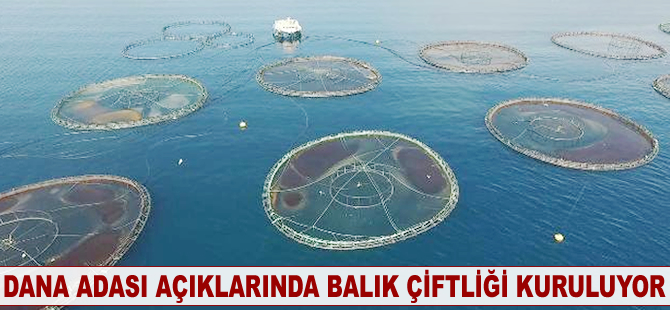 Dana Adası açıklarında balık çiftliği kuruluyor