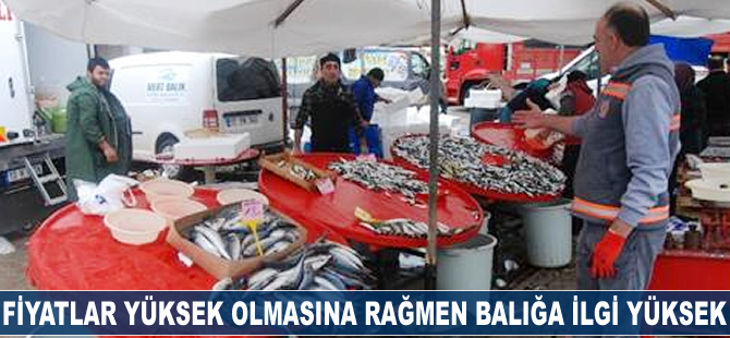 Çanakkale’de fiyatlar yüksek olmasına rağmen balığa ilgi yüksek