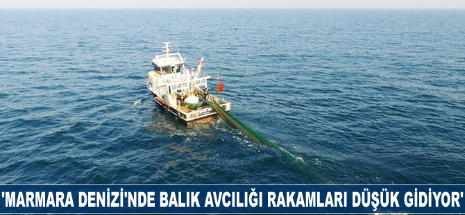 Mustafa Sarı: Marmara Denizi'nde balık avcılığı rakamlarımız düşük gidiyor