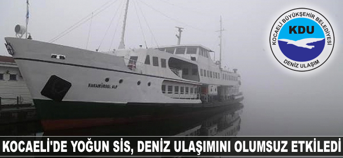 Kocaeli'de yoğun sis, deniz ulaşımını olumsuz etkiledi