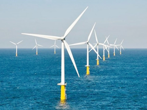 Shell, rüzgar çiftliği projesi hissesinin yarısını sattı