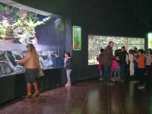 Deniz temiz bilinci için çocuklar Antalya Akvaryum'u gezdi