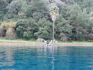 Marmaris'te denize atılan çöpler kıyıya vuruyor