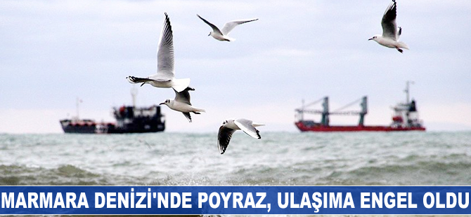 Marmara Denizi'nde poyraz, ulaşıma engel oldu