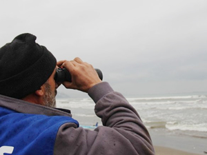 Samsun'da 'tekne battı' ihbarı asılsız çıktı