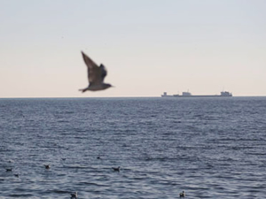 Marmara'da poyraz etkisini kaybetti