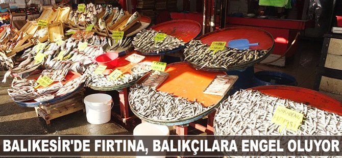 Balıkesir'de fırtına, balıkçılara engel oluyor