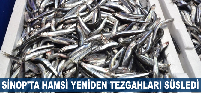 Sinop'ta hamsi yeniden tezgahları süsledi