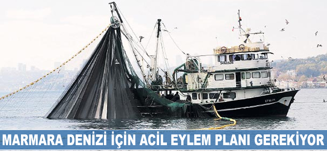 'Marmara için acil harekete geçilmeli'