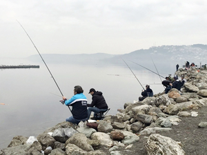 Sapanca Gölü, olta balıkçılarının akınına uğruyor