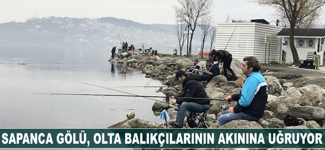 Sapanca Gölü, olta balıkçılarının akınına uğruyor