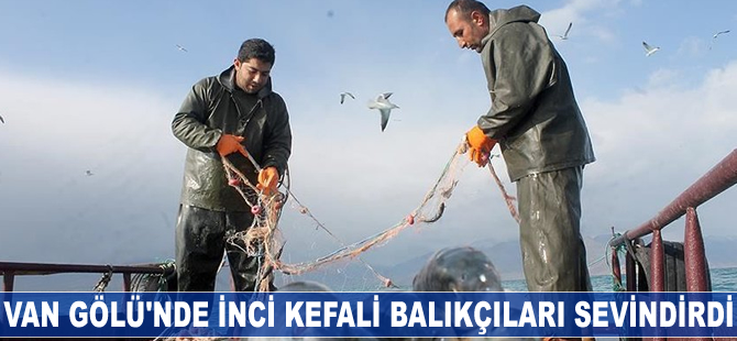 Van Gölü'nde inci kefali balıkçıları sevindirdi