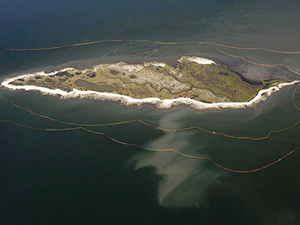 BP, Meksika Körfezi'ndeki sızıntı için 1.7 milyar dolar daha ödeyecek