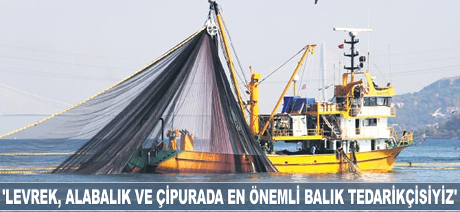 'Levrek, alabalık ve çipurada en önemli balık tedarikçisiyiz'