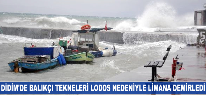 Didim'de balıkçı tekneleri lodos nedeniyle limana demirledi