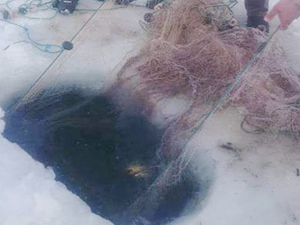 Balık Gölü’nde buzun altına atılan ağlarla balık avlanıyor