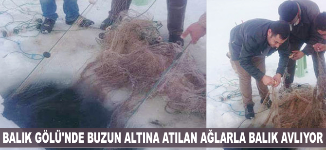 Balık Gölü’nde buzun altına atılan ağlarla balık avlanıyor
